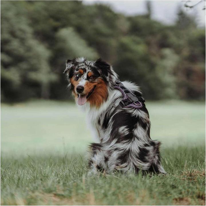 Actual product image Hunter Divo tableware (M, Dog, General, Walks)