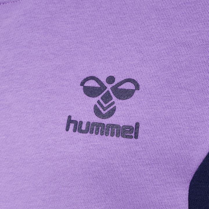 Produktbild hummel Hmlstaltic Cotton Hoodie Kids (164)