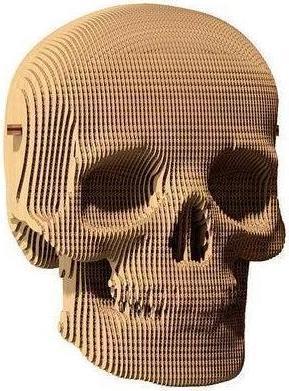 Immagine prodotto Cartonic Cranio - Modello di cartone 3D