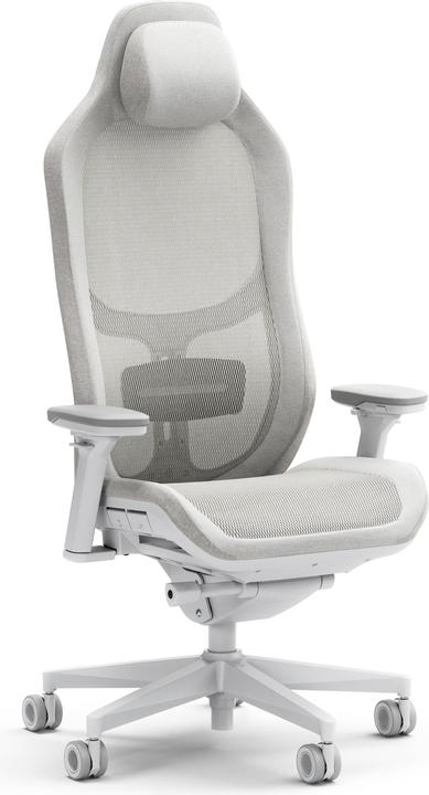 Actual product image Fractal Gaming chair Refine Mesh Light (shipping)
