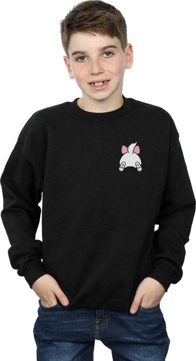 Image du produit Disney - Sweat ARISTOCATS MARIE BACKSIDE BREAST PRINT - Garçon (140, 146)