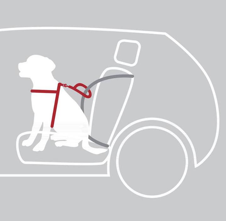 Produktbild Trixie Auto-Geschirr Dog Protect (Hund, Reflektoren)
