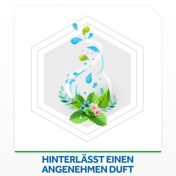 Produktbild Raid Insekten-Spray (400 ml)