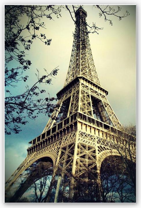 Image du produit Trenddeko Paris Tour Eiffel (40 x 60 cm)