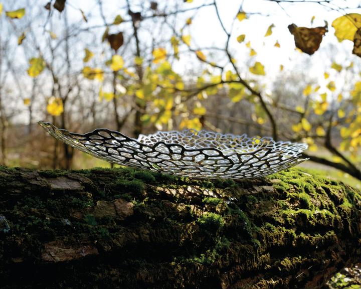 Immagine prodotto Alessi Opus (60 x 34 cm)