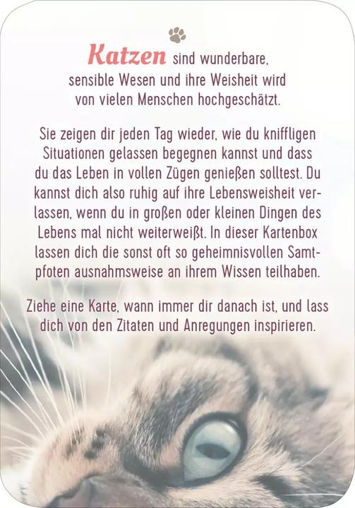 Immagine prodotto Kartenbox Katzenweisheiten (Tedesco, 2023)