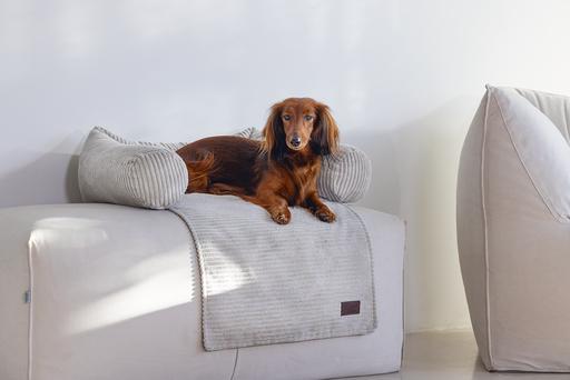 Image du produit Designed by Lotte Ribbed (Chien)