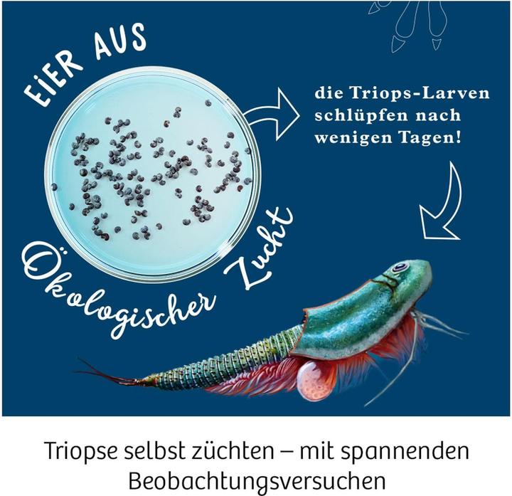 Produktbild Kosmos Triops - Leben aus der Urzeit