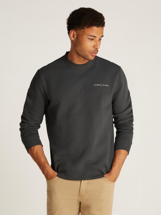 Image du produit Tommy Jeans Tjm Reg Linear Crew Ext (M)