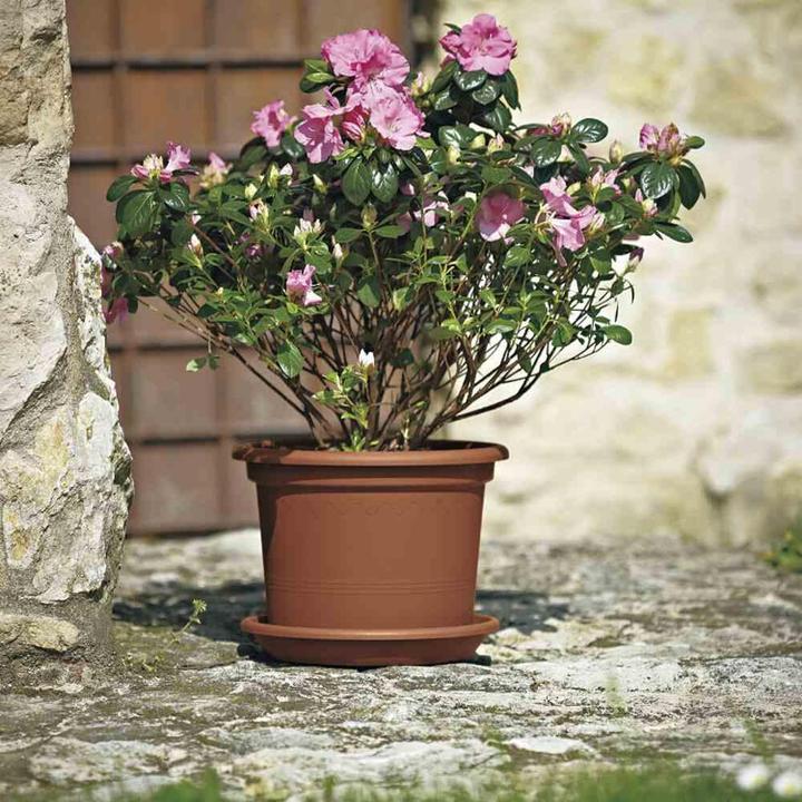 Produktbild Euro3plast Pflanzkübel (50 cm)