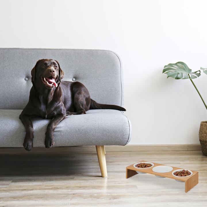 Actual product image Relaxdays Dog food station (0.40 l)