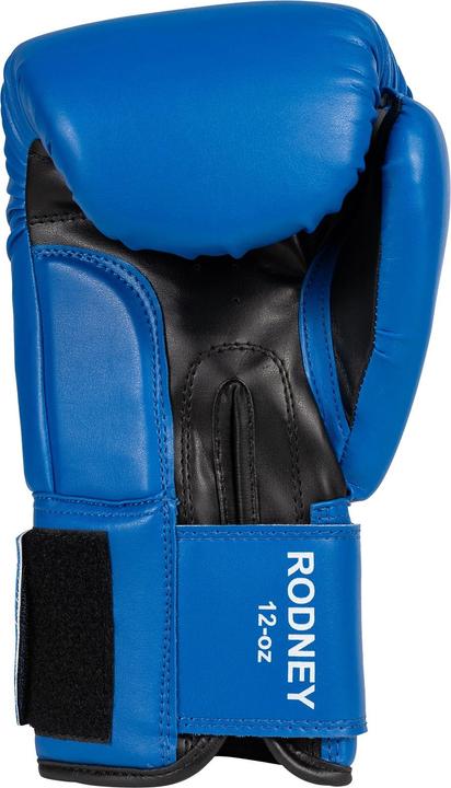 Actual product image Benlee Rodney Boxing Gloves for Kids Blue (8 OZ)