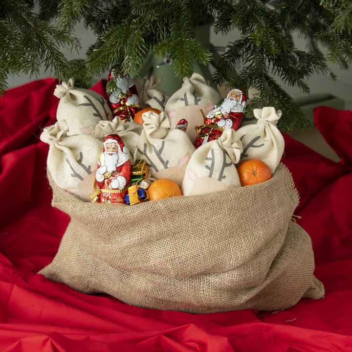 Immagine prodotto Folia 10 sacchetti Babbo Natale renna piccola (Borsa da regalo, 10 x)