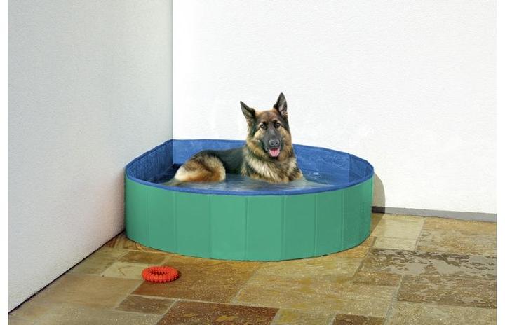 Actual product image Flamingo Doggy Splash Pool Green/Blue L - (540058500219)