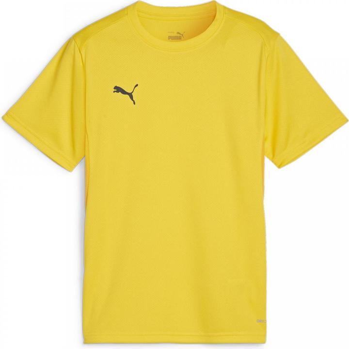 Produktbild Puma teamGOAL Jersey Jr (164)