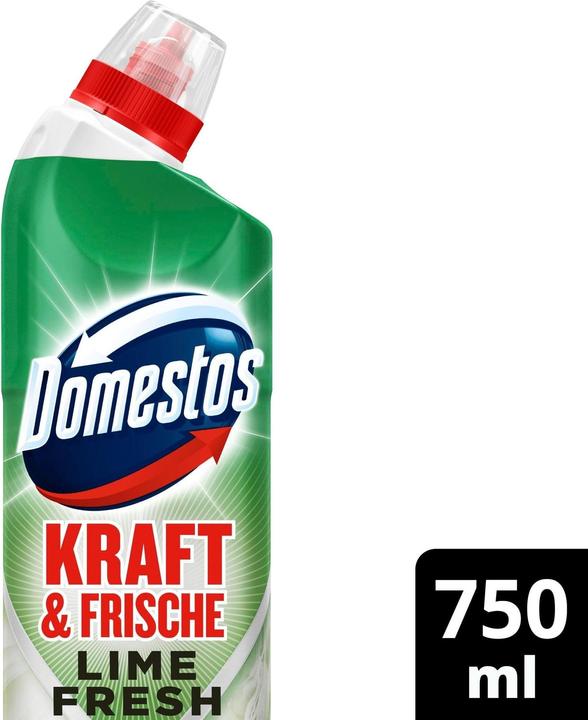 Actual product image Domestos Gel WC LIME 12x750ML