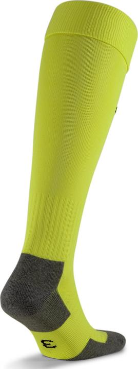 Actual product image Puma Team LIGA Socks CORE-703441 (35, 38)