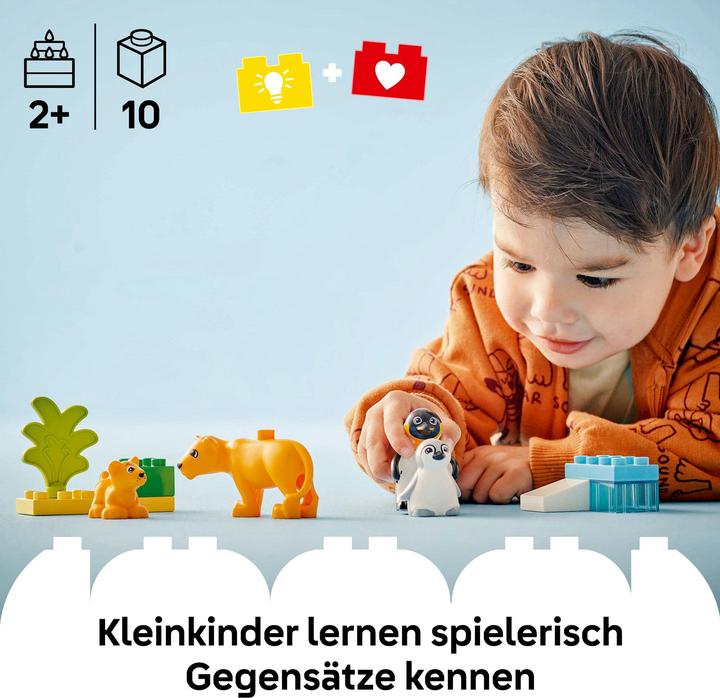 Image du produit LEGO Wildtier-Familien: Pinguine und Löwen (10442)