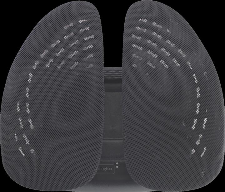 Immagine prodotto Kensington K60412WW SmartFit supporto posteriore regolabile