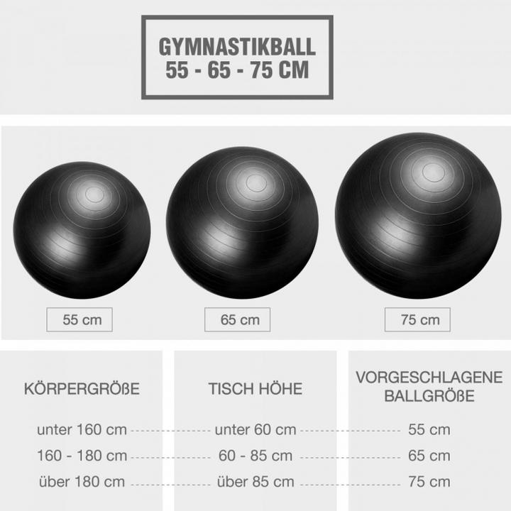 Produktbild Gorilla Sports Gymnastikball (55 cm)