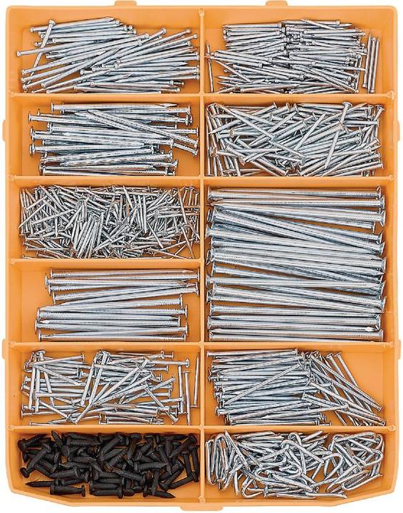 Image du produit BestaPac Assortiment de clous (815 pièce(s), 60 mm)