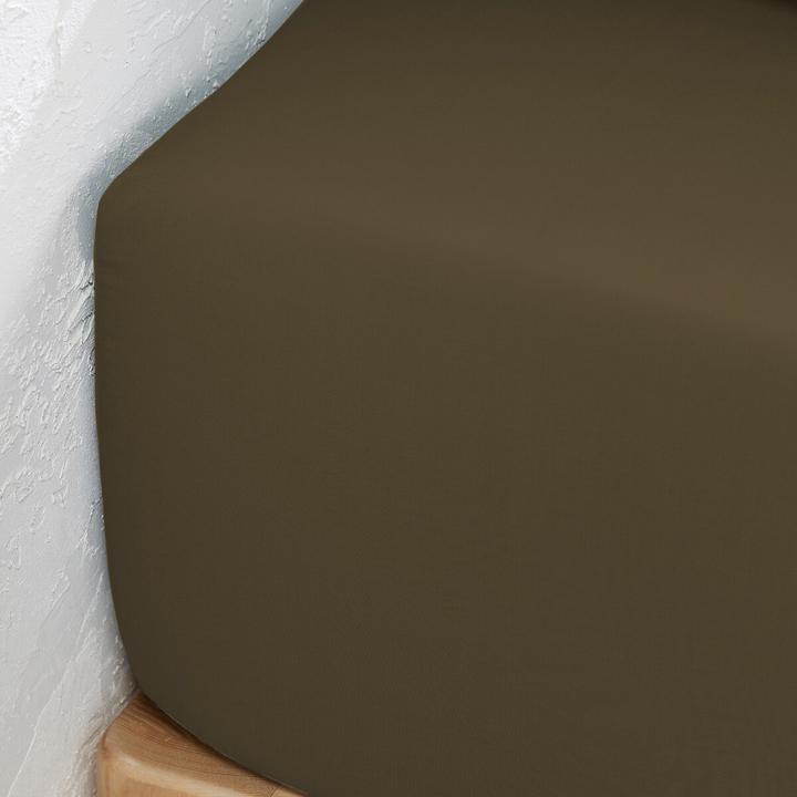 Image du produit La Redoute Interieurs Percale Bio (180 x 200 cm)