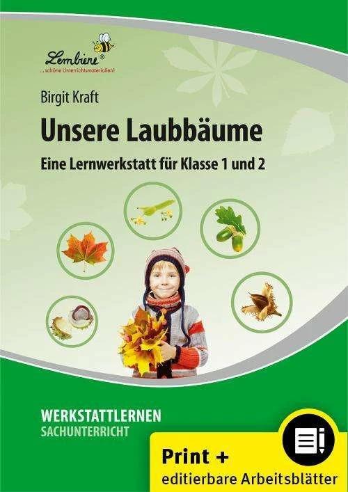 Immagine prodotto Unsere Laubbäume. Grundschule, Sachunterricht, Klasse 1-2 (Tedesco, Birgit Kraft, 2024)