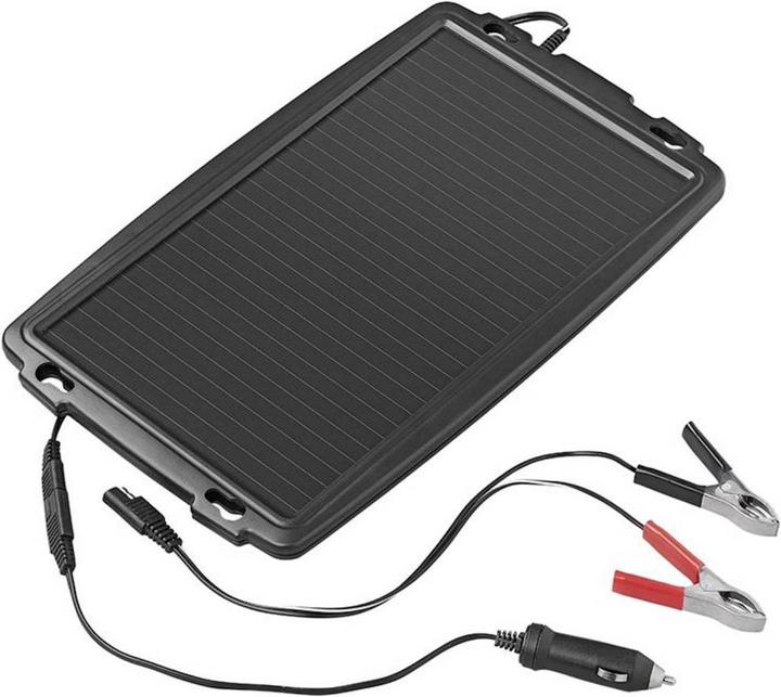 Actual product image ProPlus r trickle charger 12V 2.4W