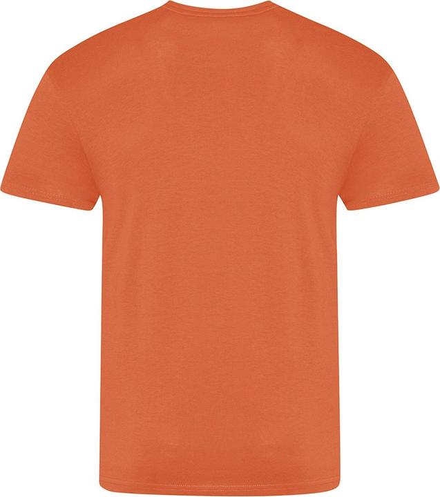 Image du produit Awdis The 100 Tshirt (L)