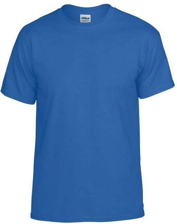 Actual product image Gildan Mens Plain Lightweight T-Shirt (L)