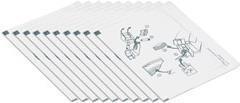 DataCard Druckerreinigungskarte (Packung mit 10)