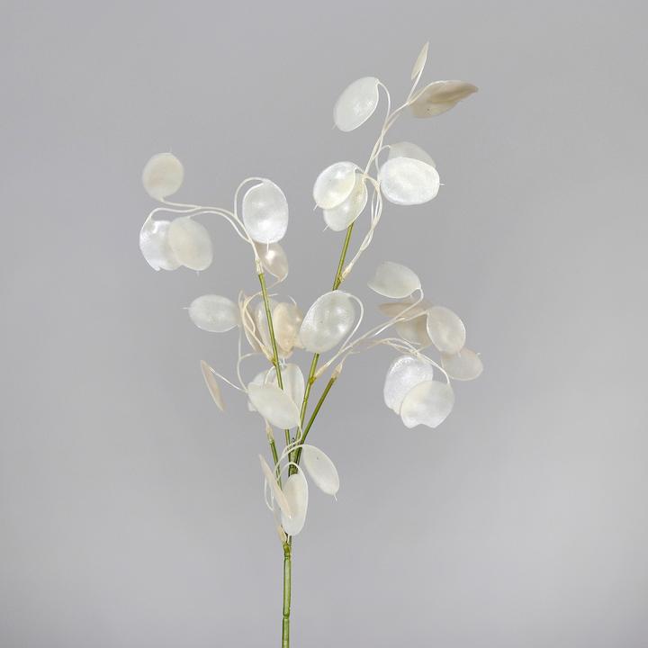 Immagine prodotto DPI Ramo di Lunaria, L 71 cm