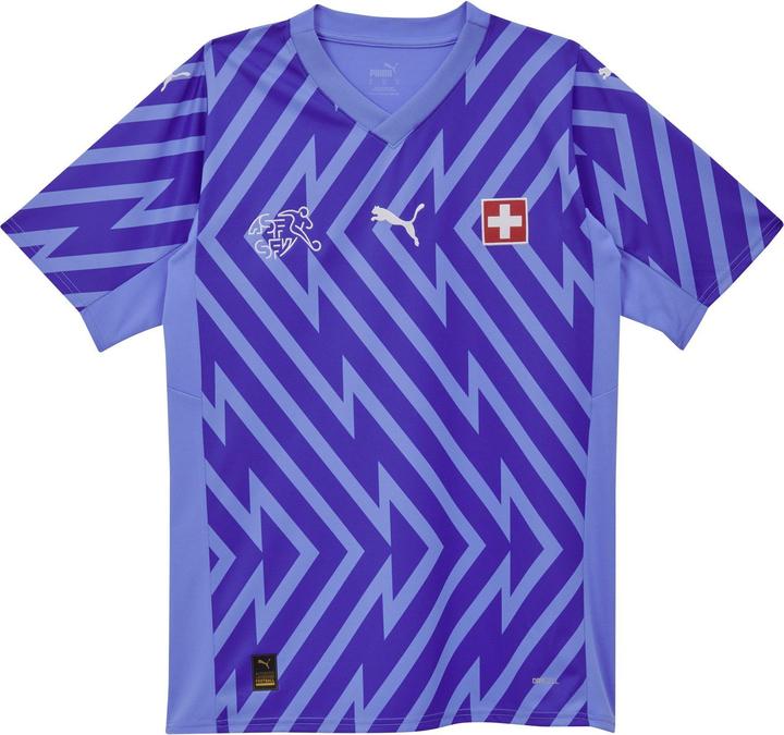 Puma SFV GK Jersey SS Replica
