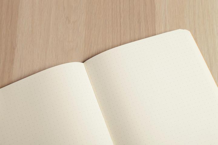 Immagine prodotto Clairefontaine Taccuino della borsa dell'età (B5, Quadretti, Copertina rigida)