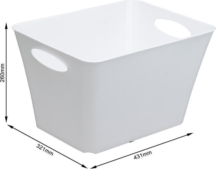 Immagine prodotto Rotho Livingbox (32 x 26 x 43 cm, 24 l)
