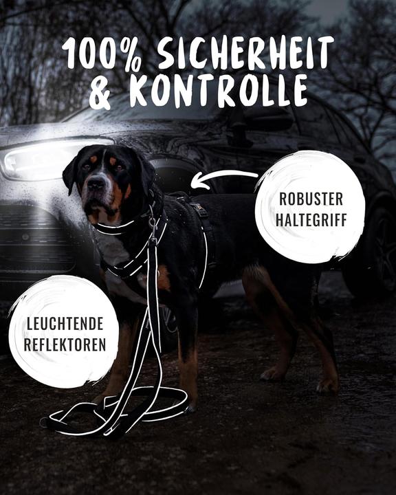 Actual product image Rudelkönig Hundegeschirr Paola mit Reflektoren und Haltegriff (S, Dog, Walks, General)