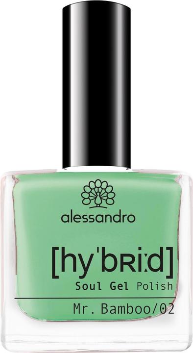 Actual product image Alessandro Hybrid Soul Gel Polish Mr Mamboo (133 Mr Bamboo, Colour paint)