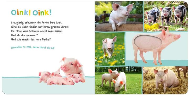 Image du produit Écoutez, qui cela peut-il être? Animaux de ferme (Allemand)