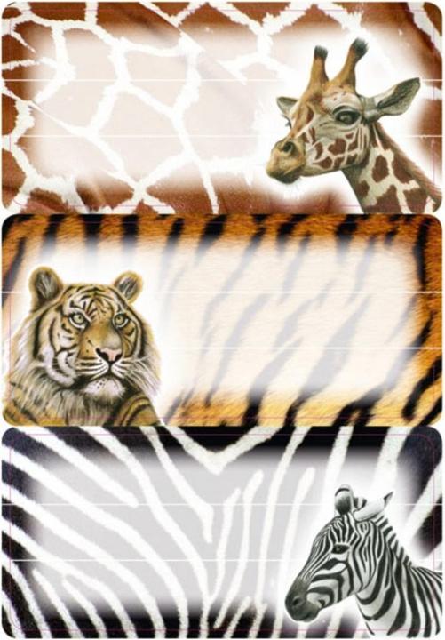 Actual product image HERMA Book labels