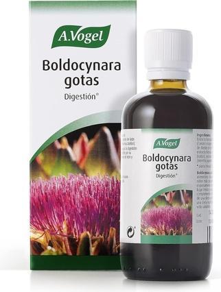 Actual product image A. Vogel Boldocynara 100ml