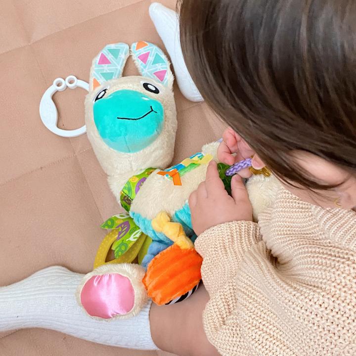 Image du produit Playgro Sensory Friend Loupe Llama - (10188470)