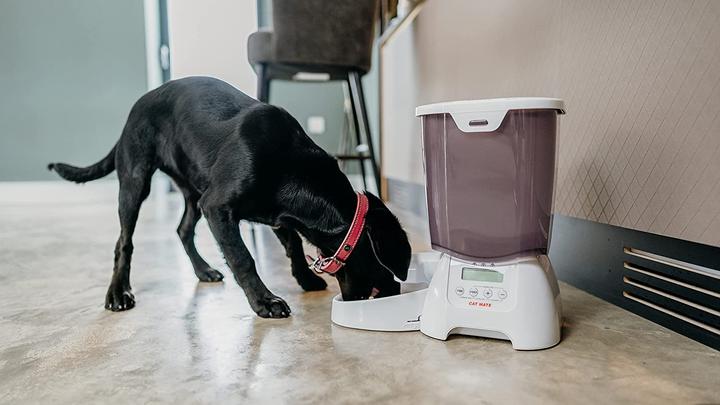 Image du produit Cat Mate C3000 (3 l)