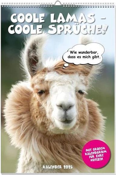 Image du produit Calendrier des affiches Coole Lamas 2025 (Allemand)
