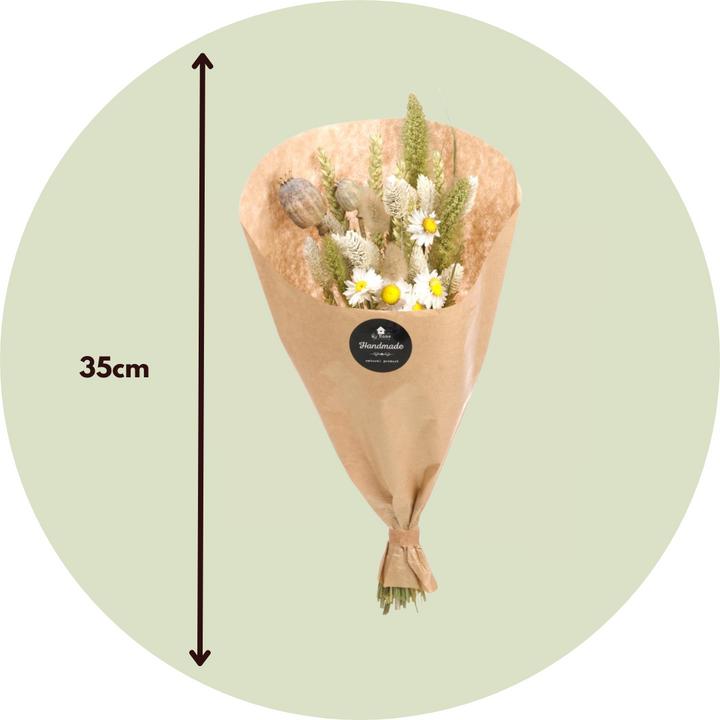 Produktbild Plant in a Box Phalaris, Papaver, tarwe (Triticum), Setarea, Acroclinium, Lagurus Ovatus - (35 cm)