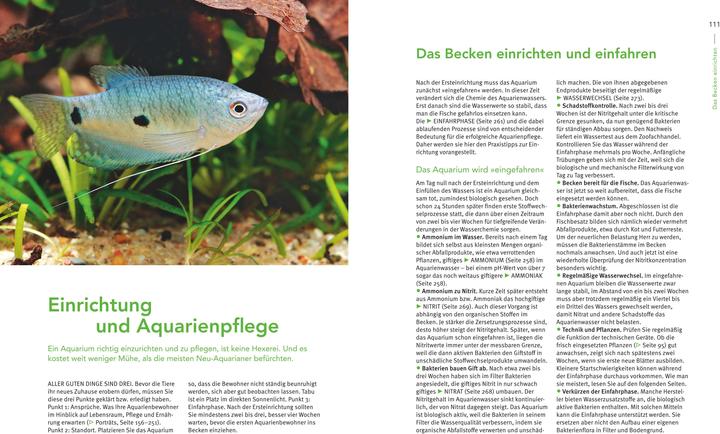 Image du produit Das grosse Praxishandbuch Aquarium (Allemand, Ulrich Schliewen, 2017)