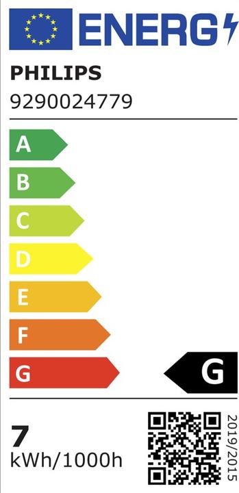 Energie-Label Philips Hue Philips E27 Einzelpack Giant Edison (E27, 7 W, 550 lm, 1 x, G)