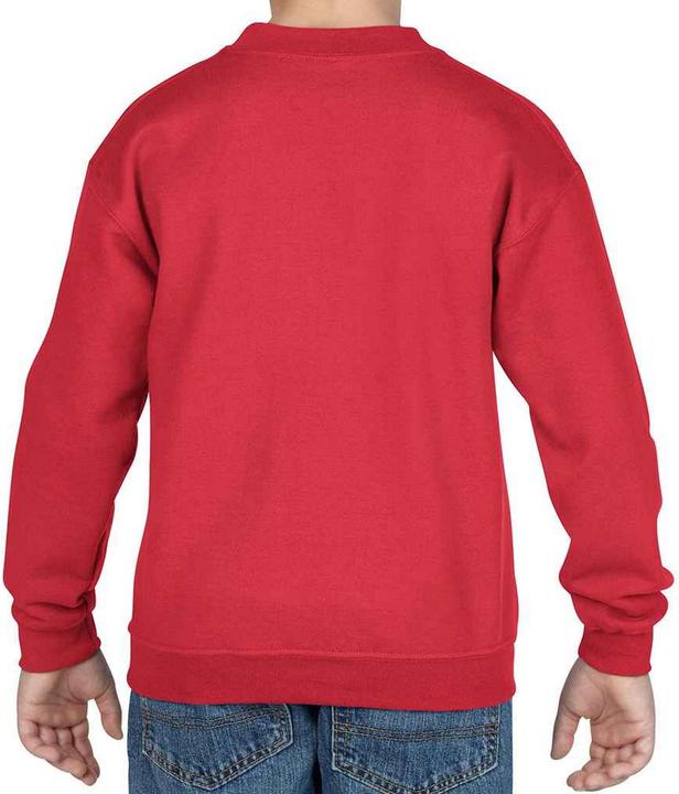 Actual product image Gildan Childrens/Kids Heavy Blend Drop Shoulder Sweatshirt (152, 158)