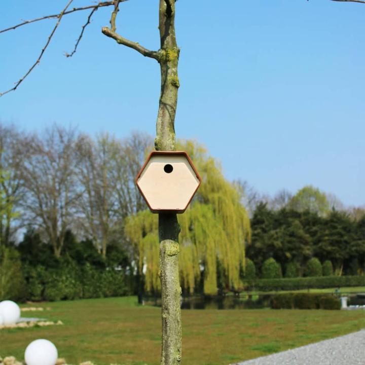 Actual product image Capi Vogelhäuschen Hive 1 Rundes Loch