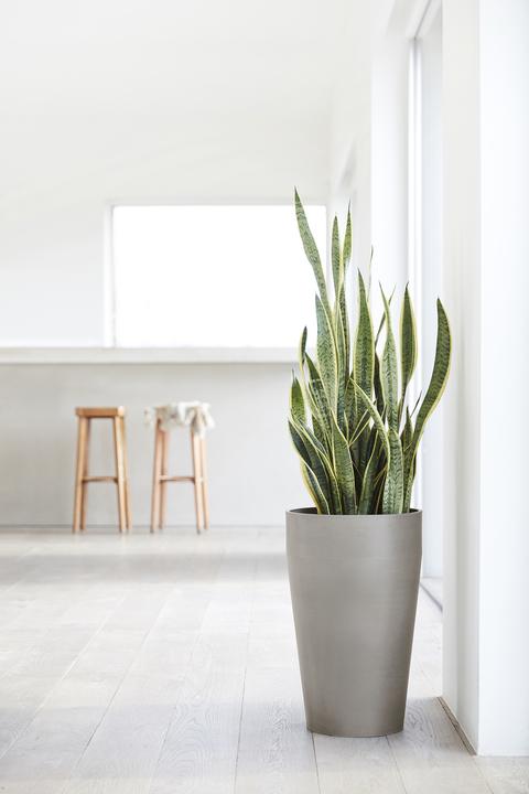 Image du produit Ecopots Sankara (35 cm)