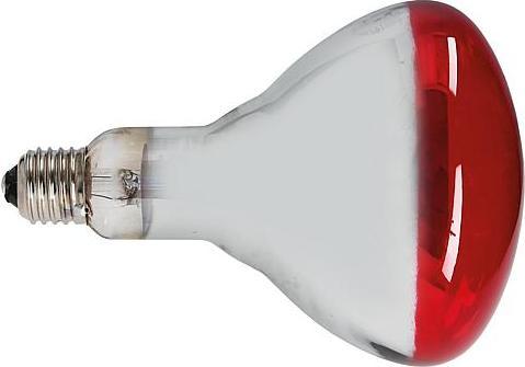 Actual product image Philips Infrared lamp BR125 (250 W)